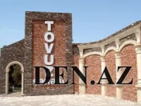 Tovuzda kəndlilərin davası QANLA BİTDİ