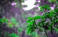 5 gün yağış yağacaq, temperatur 6° enəcək